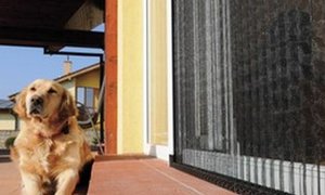 plisované sítě do dveří no barrier