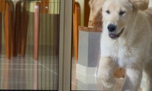 plisované sítě do dveří no barrier