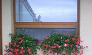 sítě proti hmyzu do oken Supernova